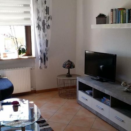 Ferienwohnung Saarblick Ockfen Экстерьер фото