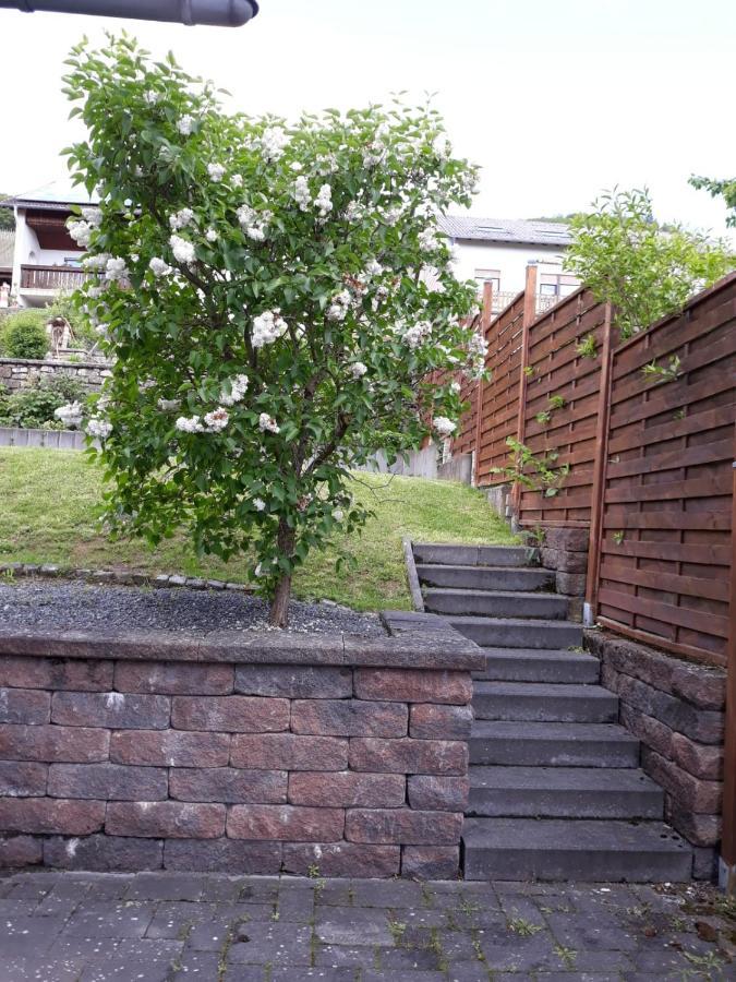 Ferienwohnung Saarblick Ockfen Экстерьер фото