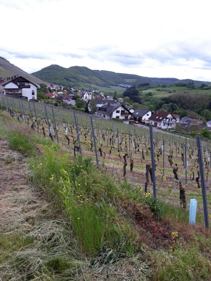 Ferienwohnung Saarblick Ockfen Экстерьер фото